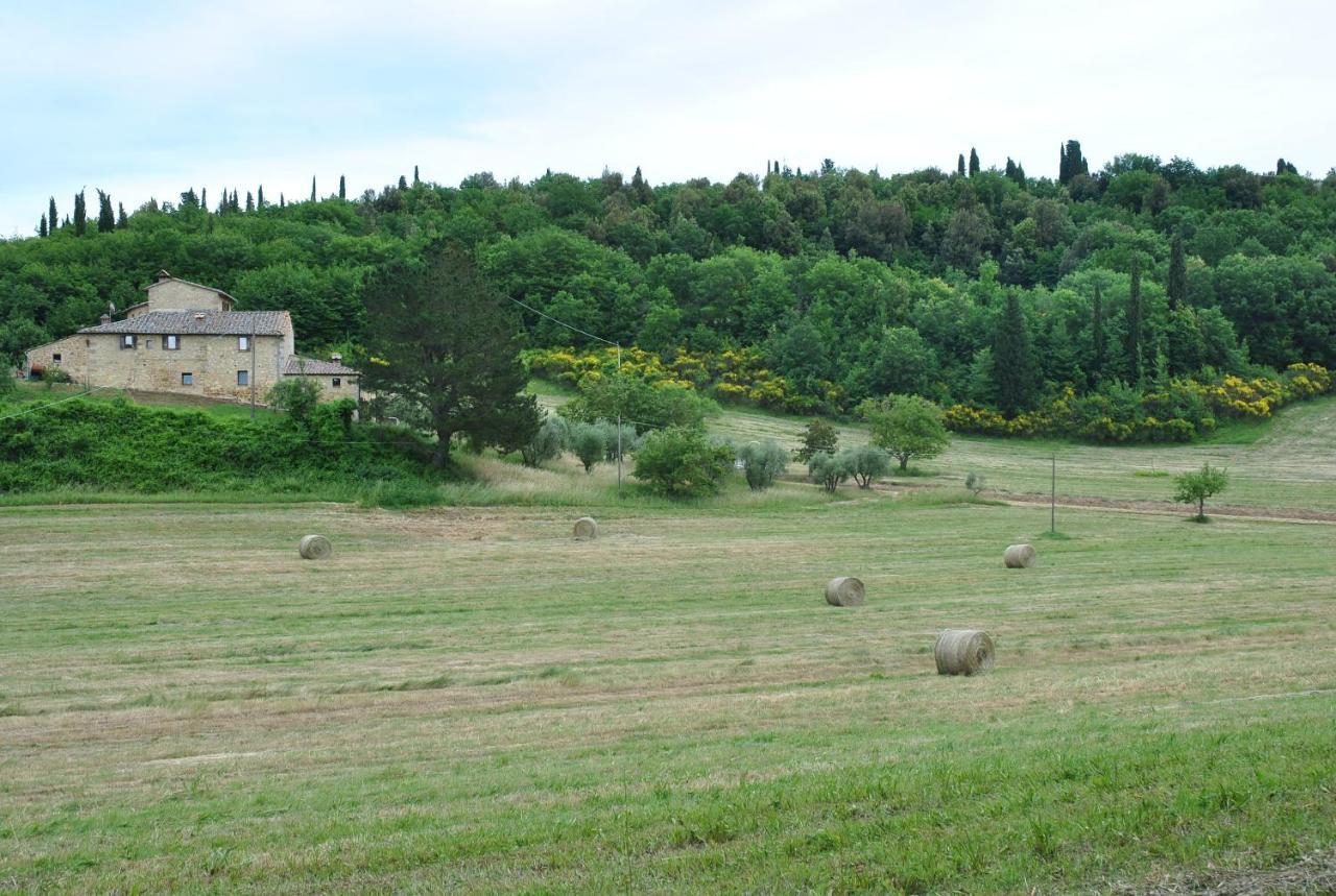 Podere La Paolina Montefollonico Esterno foto